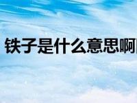 铁子是什么意思啊网络用语 铁子是什么意思 