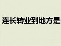 连长转业到地方是什么职务 连长是什么军衔 