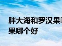 胖大海和罗汉果哪个好喝一点 胖大海和罗汉果哪个好 