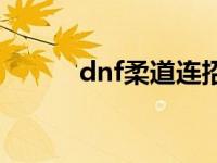 dnf柔道连招教学 dnf柔道连招 