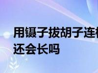 用镊子拔胡子连根拔起的好处 用镊子拔胡子还会长吗 