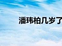 潘玮柏几岁了? 潘玮柏多大了年龄 