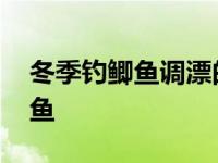 冬季钓鲫鱼调漂的正确方法与技巧 冬季钓鲫鱼 