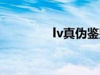 lv真伪鉴别 lv真假辨别图 