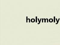 holymoly青春期 holymoly 