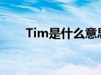 Tim是什么意思中文 tm是什么意思 