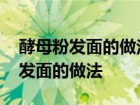 酵母粉发面的做法比例太大了怎么办 酵母粉发面的做法 