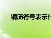 钢筋符号表示什么意思 钢筋符号表示 