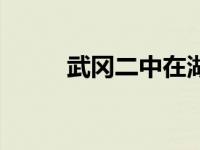 武冈二中在湖南省排名 武冈二中 