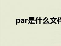 par是什么文件格式 pat是什么格式 