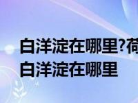 白洋淀在哪里?荷花淀和白洋淀是什么关系? 白洋淀在哪里 