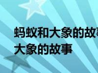 蚂蚁和大象的故事告诉我们什么道理 蚂蚁和大象的故事 