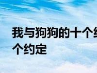 我与狗狗的十个约定经典台词 我与狗狗的10个约定 