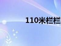 110米栏栏高和栏间距 110米 