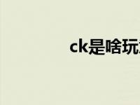 ck是啥玩意 ck是什么东西 