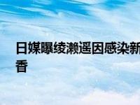 日媒曝绫濑遥因感染新冠住院 目前病状发展到中度 绫濑遥香 