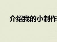 介绍我的小制作400字 介绍我的小制作 