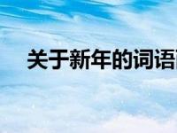 关于新年的词语两个字 关于新年的词语 