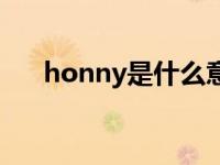 honny是什么意思中文怎么读 honny 