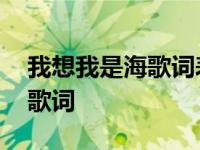 我想我是海歌词表达了什么感情 我想我是海歌词 