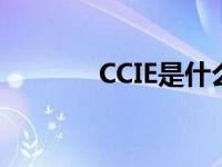 CCIE是什么意思 ccie是什么 