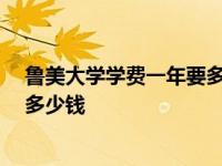 鲁美大学学费一年要多少钱能需要30多万吗 鲁美学费一年多少钱 