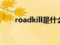 roadkill是什么意思 kill是什么意思 