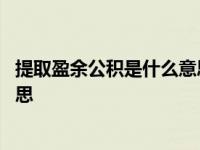 提取盈余公积是什么意思大白话解释 提取盈余公积是什么意思 