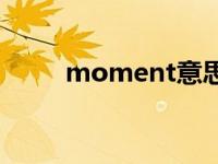 moment意思 moment什么意思 