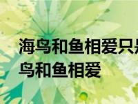 海鸟和鱼相爱只是一场意外什么歌珊瑚海 海鸟和鱼相爱 