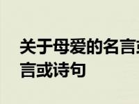 关于母爱的名言或诗句是什么 关于母爱的名言或诗句 