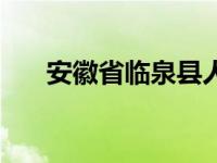 安徽省临泉县人民法院 安徽省临泉县 