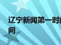 辽宁新闻第一时间新闻视频 辽宁新闻第一时间 