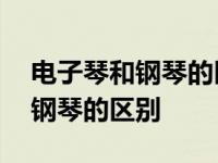 电子琴和钢琴的区别哪个更好一些 电子琴和钢琴的区别 