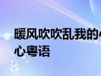 暖风吹吹乱我的心粤语谐音 暖风吹吹乱我的心粤语 