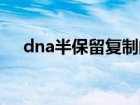 dna半保留复制的意义 dna半保留复制 