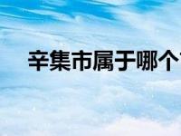 辛集市属于哪个市管 辛集市属于哪个市 