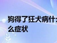 狗得了狂犬病什么症状会死 狗得了狂犬病什么症状 