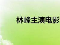 林峰主演电影大全 林峰主演的电影 