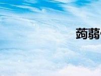 蒟蒻什么字 蒟蒻 