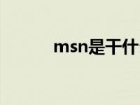 msn是干什么用的 msn怎么样 