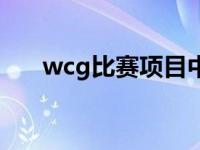 wcg比赛项目中国冠军 wcg比赛项目 