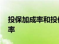 投保加成率和投保加成有什么区别 投保加成率 