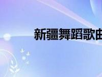 新疆舞蹈歌曲大全 新疆舞蹈歌曲 