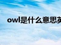 owl是什么意思英语翻译 owl是什么意思 