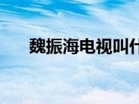 魏振海电视叫什么 魏振海电视剧全集 