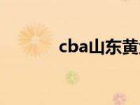 cba山东黄金队 cba山东黄金 