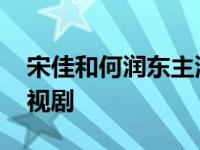 宋佳和何润东主演的电视剧 何润东主演的电视剧 