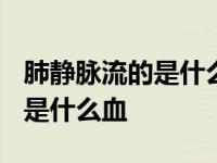 肺静脉流的是什么血?是快还是慢 肺静脉流的是什么血 