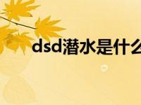 dsd潜水是什么意思 潜水是什么意思 